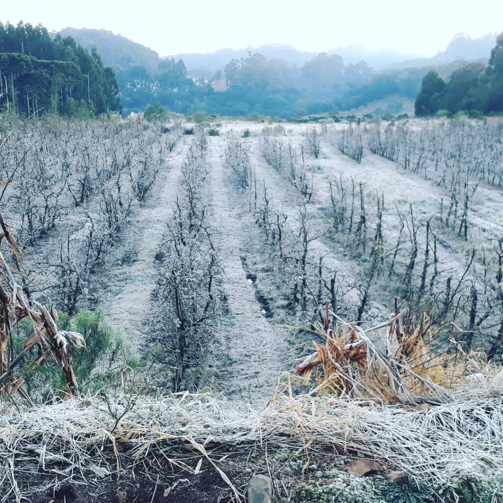 Frente fria que se aproxima pode ser histórica.