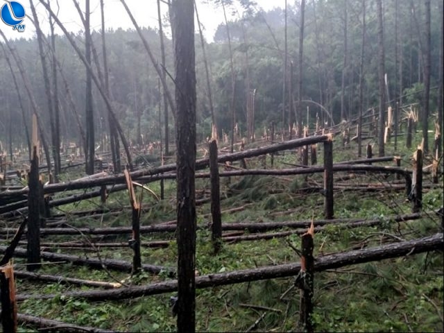 MUNICÍPIO DE IBIRAIARAS NO RS, PODE TER SIDO ATINGIDO POR UM TORNADO.