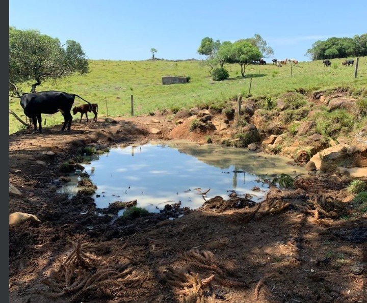 Limpeza de bebedouros ajuda a matar a sede dos animais.