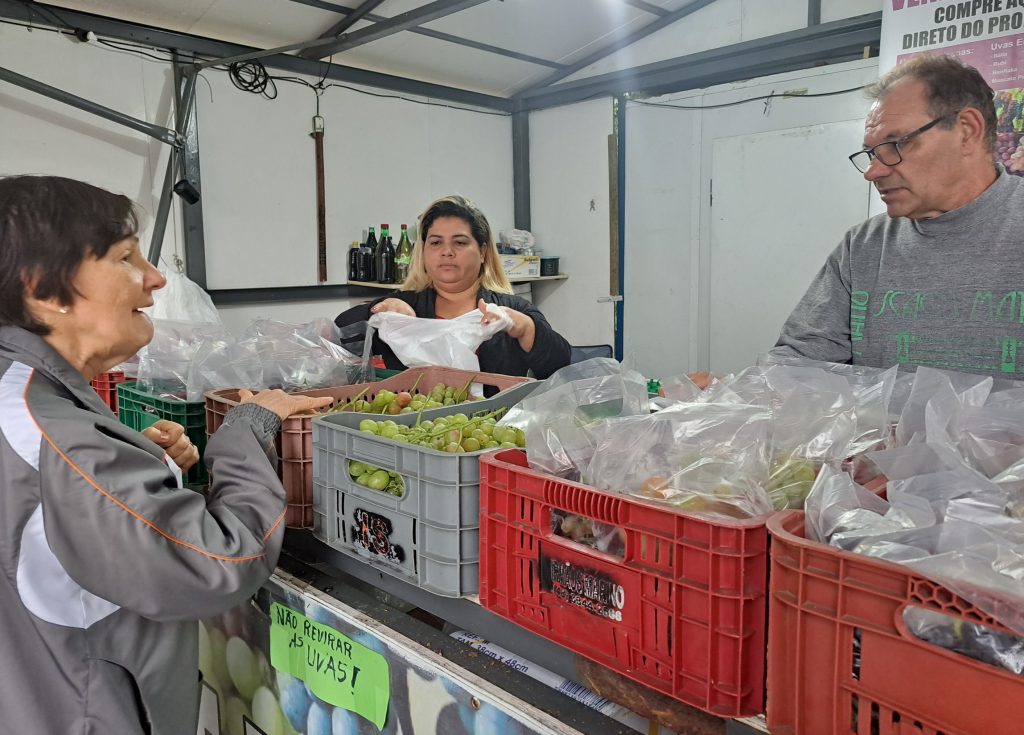 Últimos dias para comprar uva nas praças