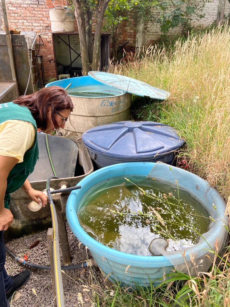 Secretaria da Saúde pede esforço coletivo para frear aumento de focos do mosquito da dengue