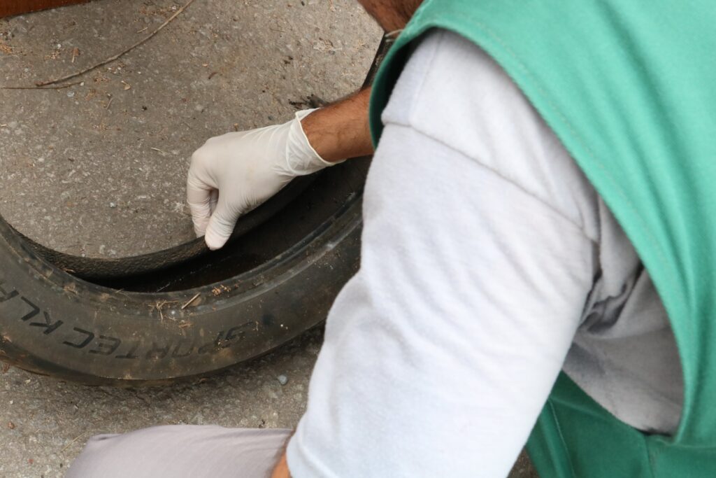 Caxias confirma um caso de dengue autóctone em 2024